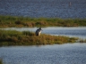 141105_Brasilien_082_blog