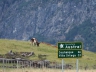 Viel Verkehr auf der Carretera Austral