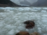 Laguna Torre - Basislager am Cerro Torre