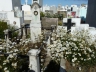 Friedhof in Punta Arenas