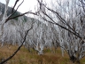 Nationalpark Torres del Paine