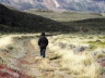 Nationalpark Perito Moreno