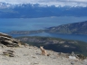 Besteigung des Cerro Guanaco