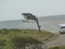 Der Wind fehlt auch auf Feuerland nicht.