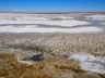 Salar de Atacama