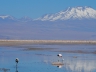 Salar de Atacama