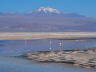 Salar de Atacama