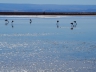 Salar de Atacama