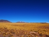 Salar de Atacama