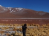 Laguna Colorada