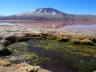 Laguna Colorada