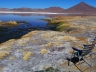 Laguna Colorada