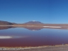 Laguna Colorada