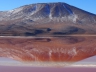 Laguna Colorada