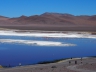 Laguna Colorada