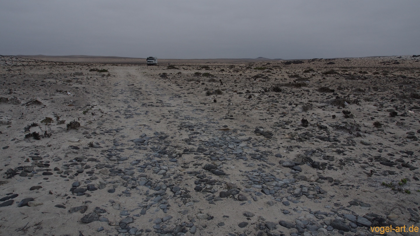 Küstenstraße entlang der Atacamawüste