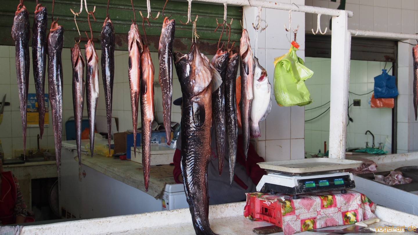 Fischmarkt in Caldera