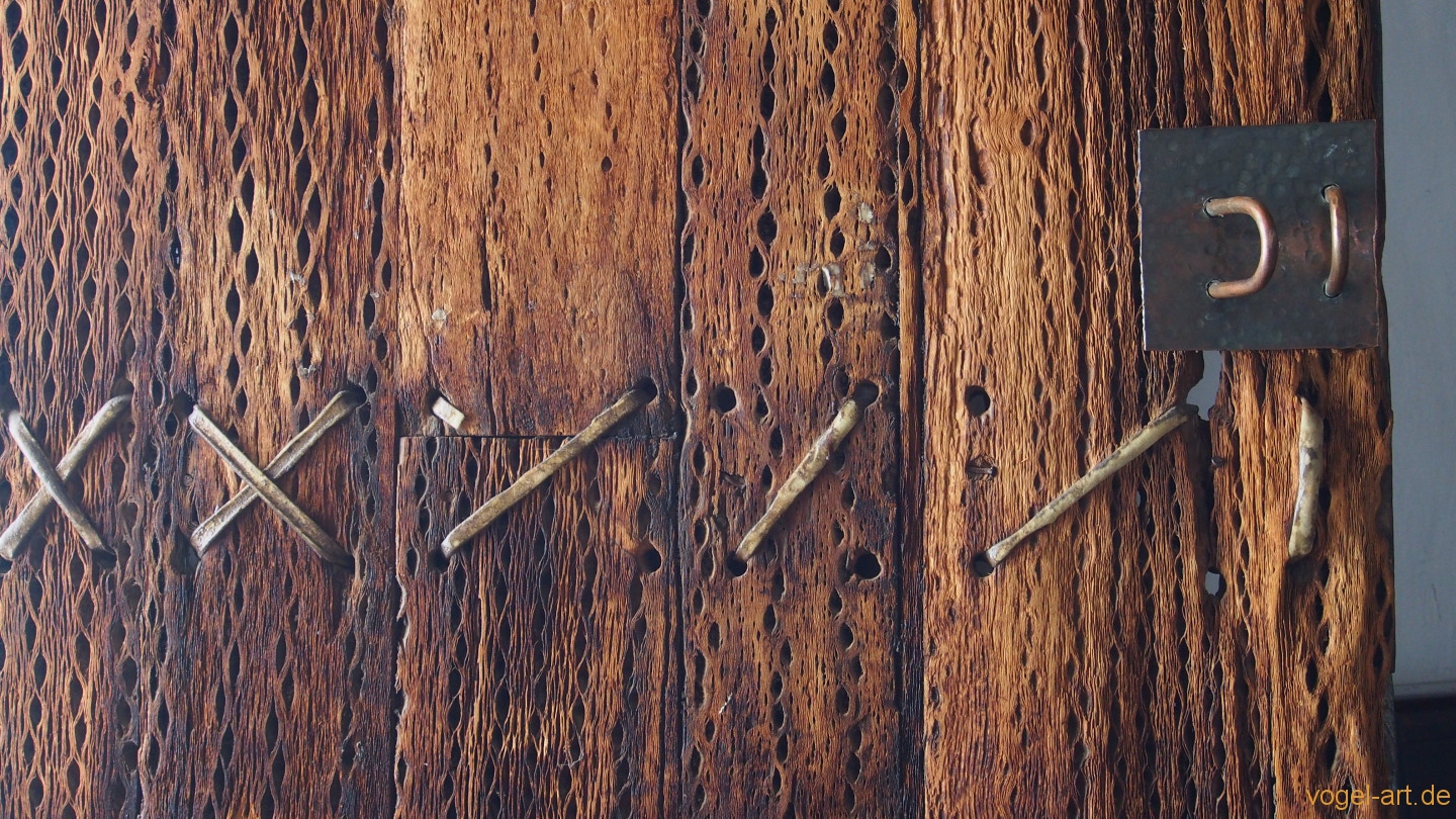 Türen aus Kakteenholz
