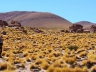 auf dem Weg zu den Geysiren El Tatio