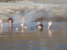 Geysire El Tatio