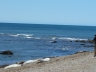 Seelöwen bei Punta Ninfas