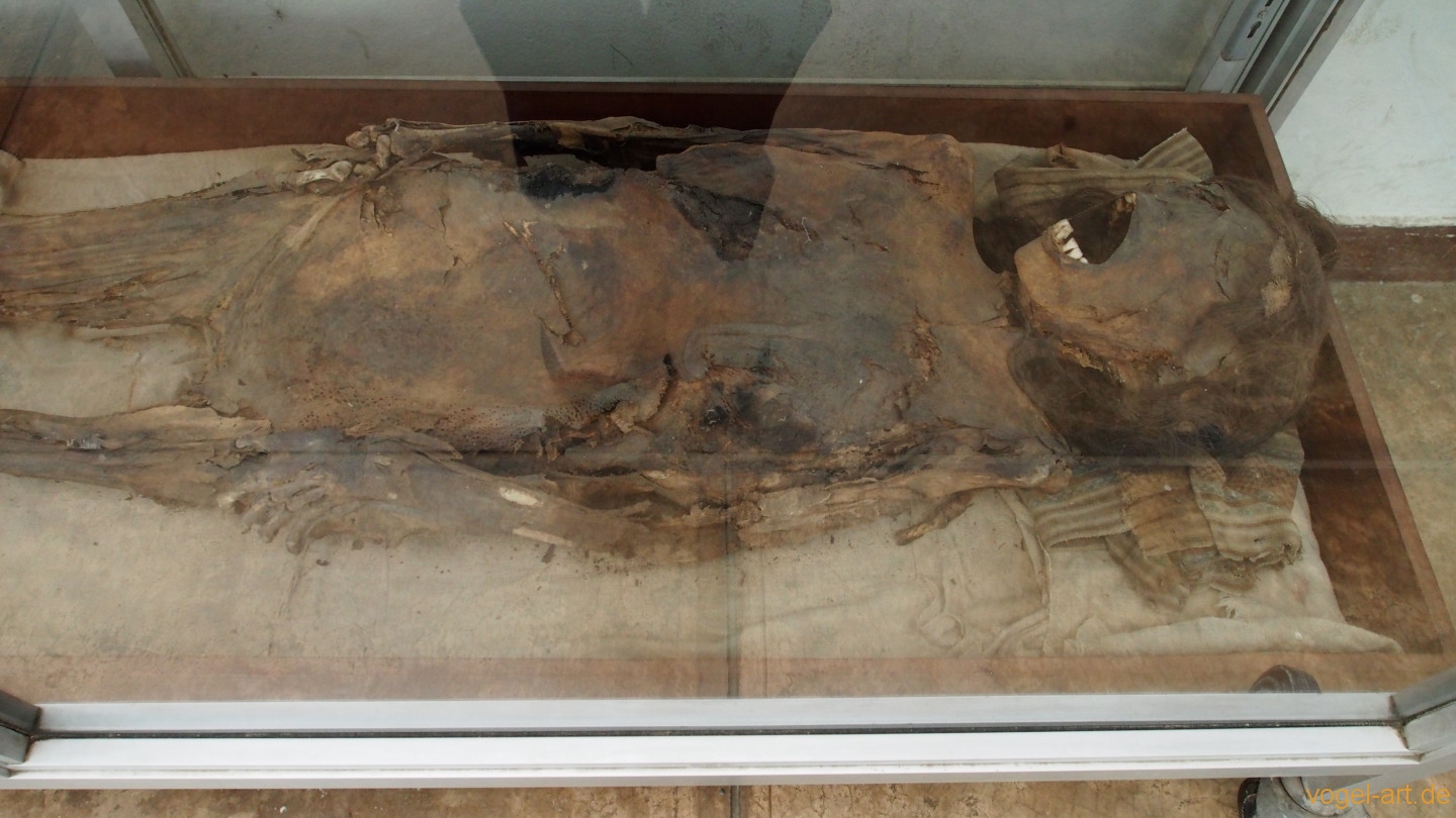 Mumie bei den Ruinen von Sechín