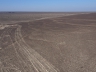 Die Nasca-Linien:  riesige Scharrbilder (Geoglyphen) in der Wüste