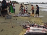 Fischmarkt in Manta